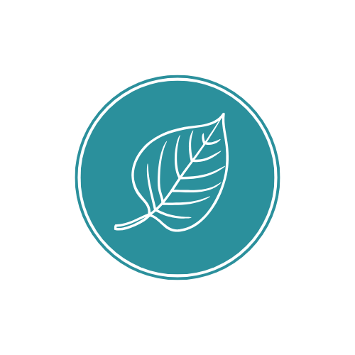 Культура стовбурових клітин граната  та бавовни